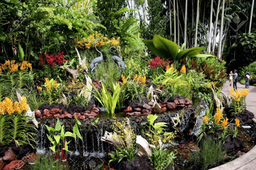 Singapore: National Orchid Garden Admission - Time Planning for a 1-Day Visit