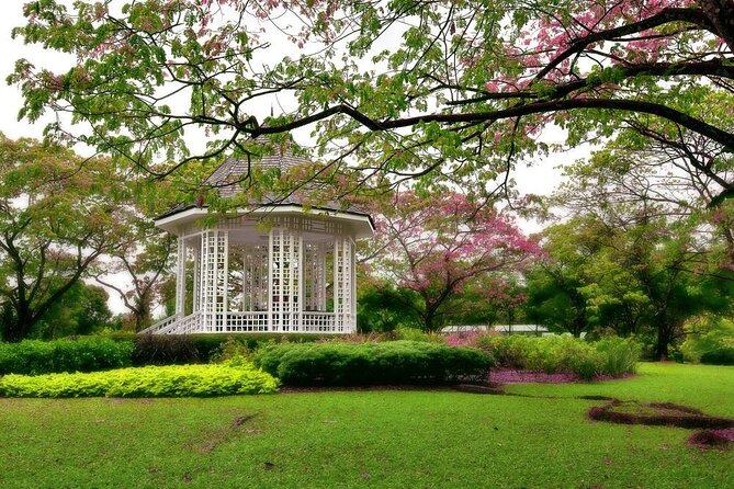 Singapore: National Orchid Garden Admission Ticket - Key things to know before you go