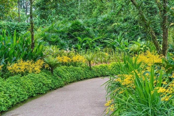 Singapore: National Orchid Garden Admission Ticket - Stop 1: National Orchid Garden near Burkill Hall