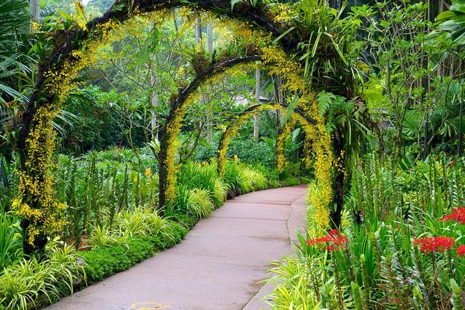 Singapore: National Orchid Garden Admission Ticket - Orchid breeding details that make the displays more meaningful
