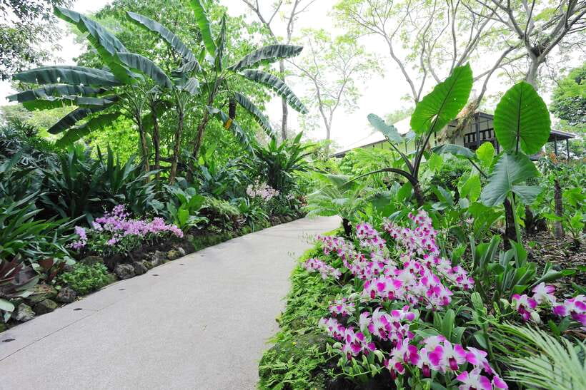 Singapore: National Orchid Garden Entry Tickets - Key highlights at a glance