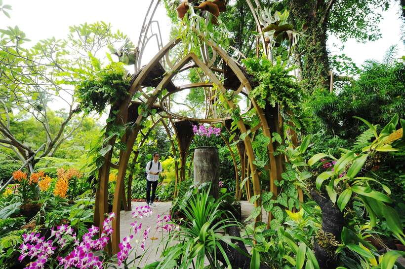 Singapore: National Orchid Garden Entry Tickets - Indoor orchids, outdoor paths, and photo-friendly extras