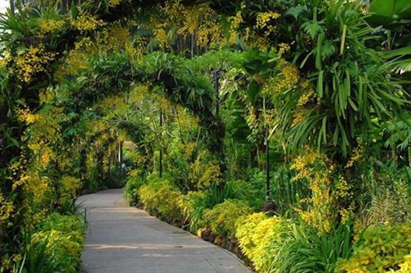 Singapore: National Orchid Garden Entry Tickets - Ticket value: $8 for orchids, not just a quick look