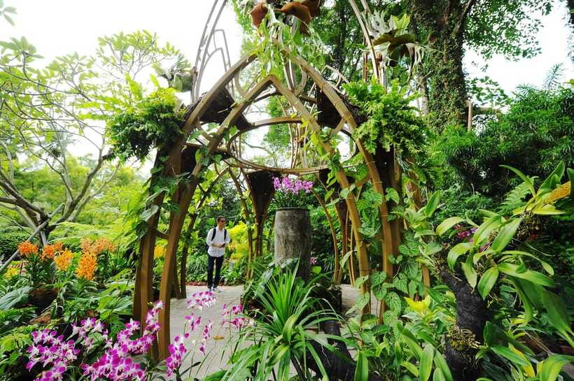 Singapore: National Orchid Garden Entry Tickets - Small perks that add up: gift shop, orchid tea, and a calm garden break