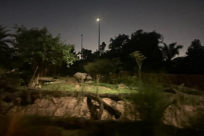 Singapore Night Safari - Food, comfort, and what to expect while you wait in the dark