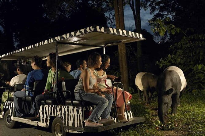 Singapore: Night Safari Entry Ticket - Your 7:15 pm to midnight window, and why your timeslot matters