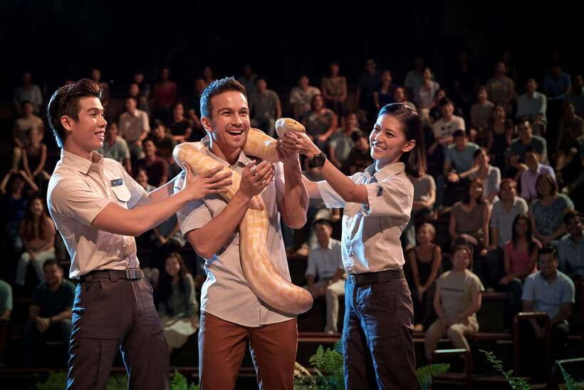 Singapore: Night Safari Singapore Entry Ticket + Tram Ride - Timing, Time Slots, and How to Plan a Smooth Evening