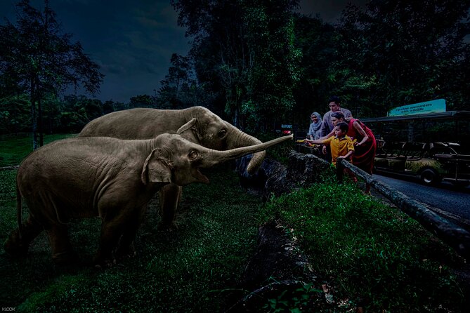 Singapore Night Safari Ticket Experience - What You’re Really Buying for $46