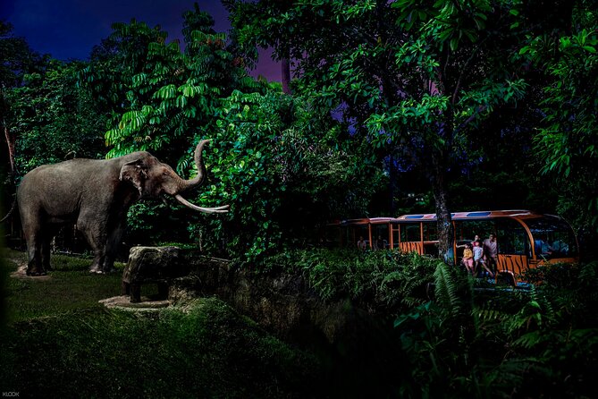Singapore Night Safari Ticket Experience - Key Points Before You Go