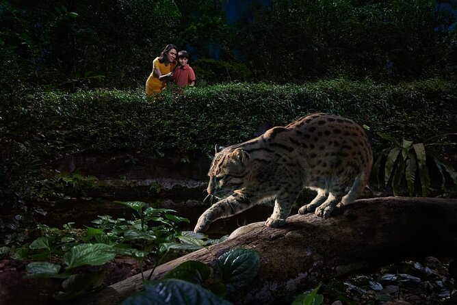 Singapore Night Safari Ticket Experience - Leopard Trail and the Glass Observatory: Closer, More Intense