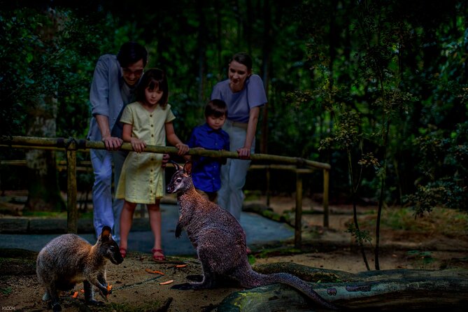 Singapore Night Safari Ticket Experience - Price and Value: Is $46 Reasonable?