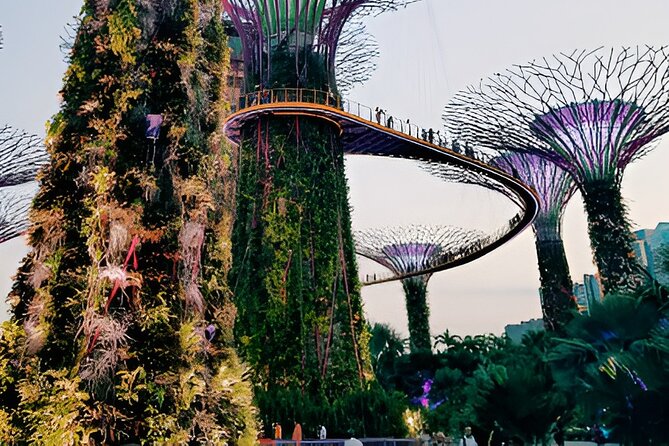 Singapore OCBC Skyway Flower dome Cloud Forest Garden by the Bay - What This Ticket Package Gets Right in Singapore