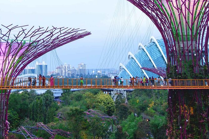 Singapore OCBC Skyway Flower dome Cloud Forest Garden by the Bay - OCBC Skyway: The 22-Meter-High Photo Sprint Between Supertrees