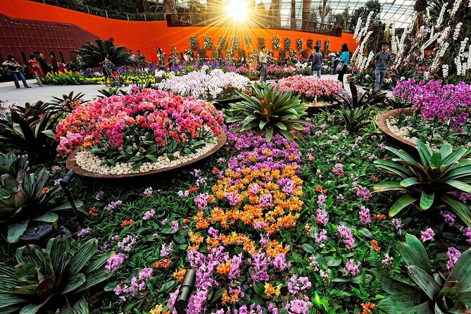 Singapore OCBC Skyway Flower dome Cloud Forest Garden by the Bay - Timing Your Day for Garden Rhapsody From the Right Angle