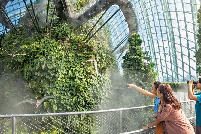 Singapore OCBC Skyway Flower dome Cloud Forest Garden by the Bay - Who This Experience Suits Best (and Who Might Skip It)
