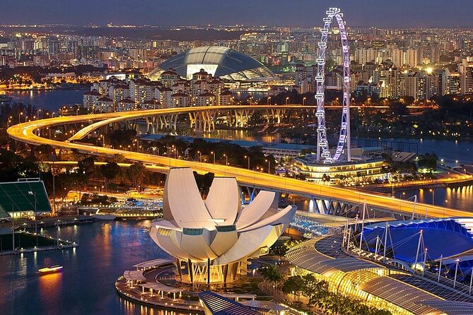 Singapore Panoramic Sightseeing Private Tour with River Cruise - Chinatown and Little India: Quick Stops That Still Land
