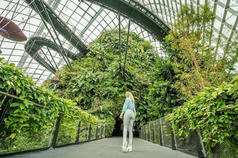 Singapore Photography: Marina Bay Sands & Gardens by the Bay - What You Get: Photo Quality, Delivery Speed, and Edited Files