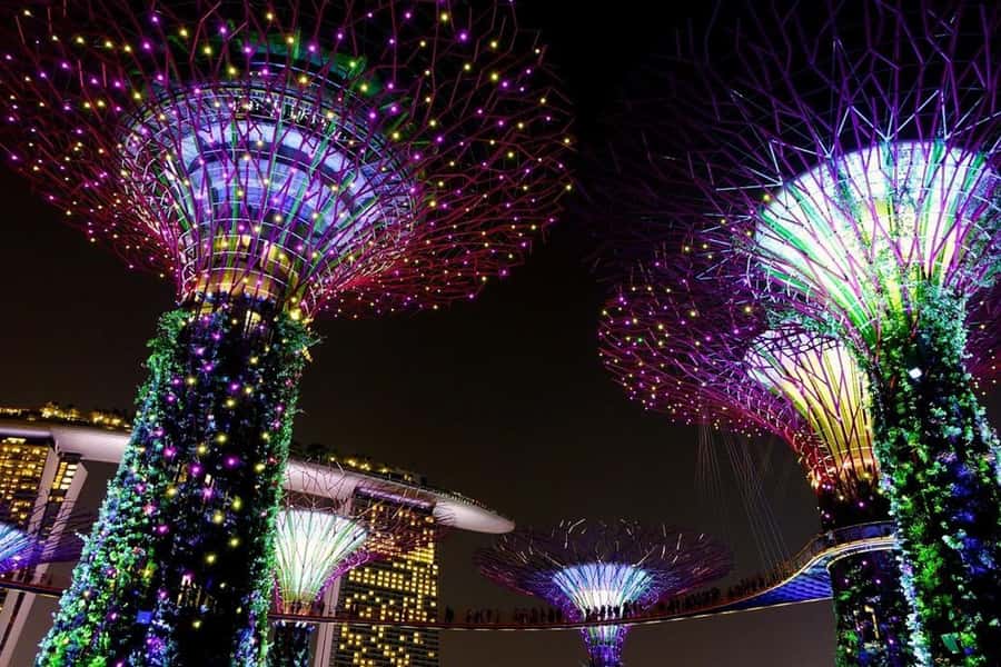 Singapore: Private Customizable Singapore Tour - How customization actually plays out in real life