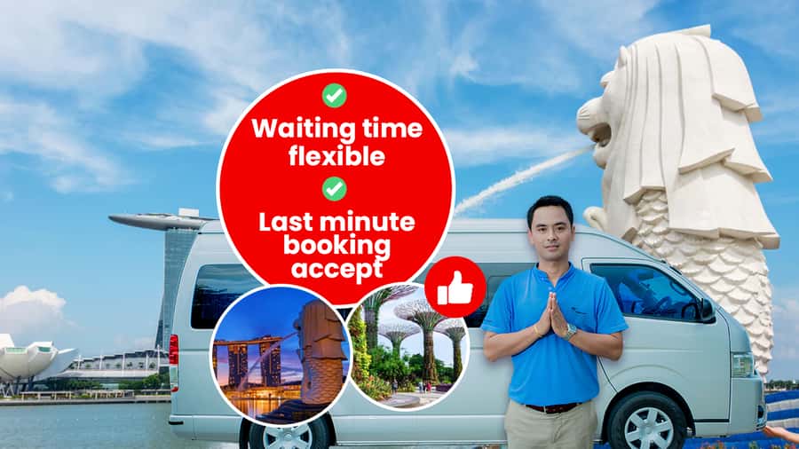Singapore: Private Customizable Singapore Tour - Getting picked up in Singapore without the usual cruise chaos