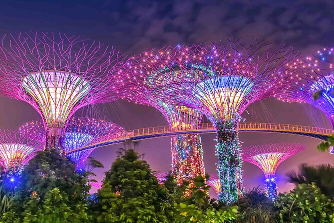 Singapore Private Customized City Tour with Driver - Marina Bay Sands and Merlion Park: Icon Photos Without Losing the Day