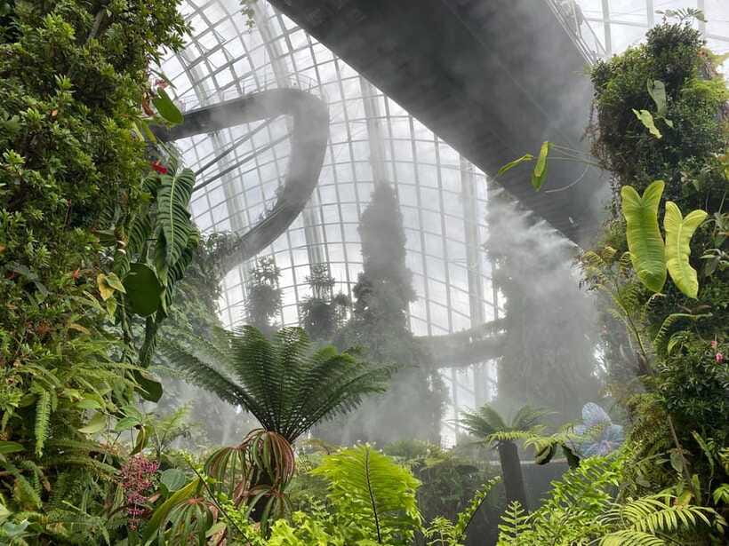 Singapore: Private Customized Tour with transportation - The Walking Pace and What to Bring for a Comfortable 4 Hours