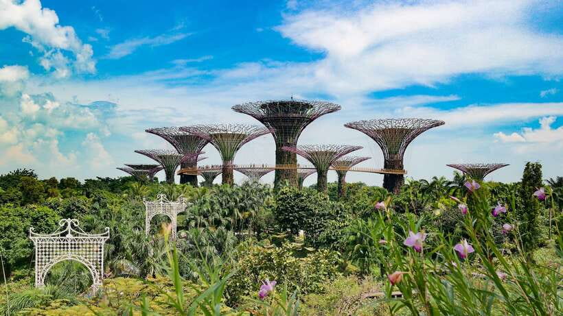 Singapore: Private Flexible Tour with a Licensed Local Guide - How the tour actually starts (and how to make it work for you)