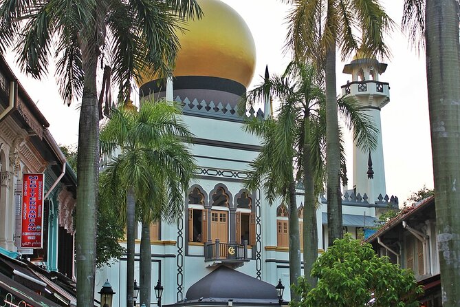 Singapore Private Full-Day Sightseeing Tour - Stop 6: Little India—temples, mosques, street art, color