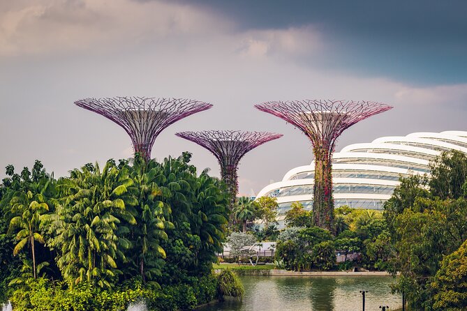 Singapore Private Professional Photoshoot at Gardens by the Bay - What your photographer does during the shoot (even if you’re camera-shy)