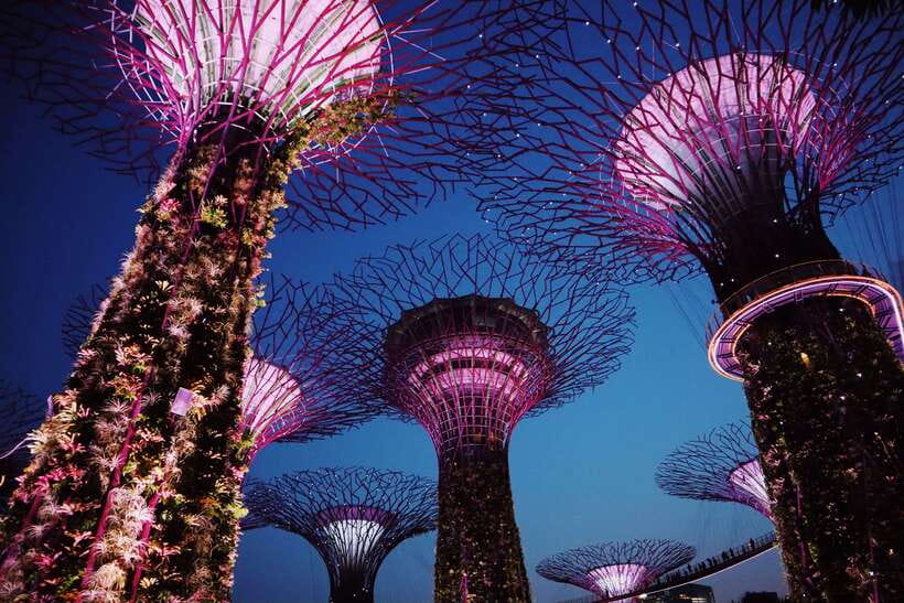 Singapore: Private Tour with a Driver - Marina Bay Sands and Gardens by the Bay: Views Without the Guesswork
