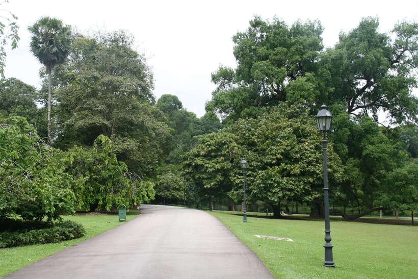 Singapore: Private Tour with a Driver - Pulau Ubin for Wildlife and Slower Island Time