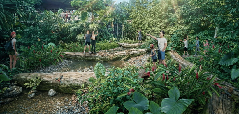 Singapore: Rainforest Wild Asia Entry Ticket - Elevated walkways or rugged forest trails: pick your pace