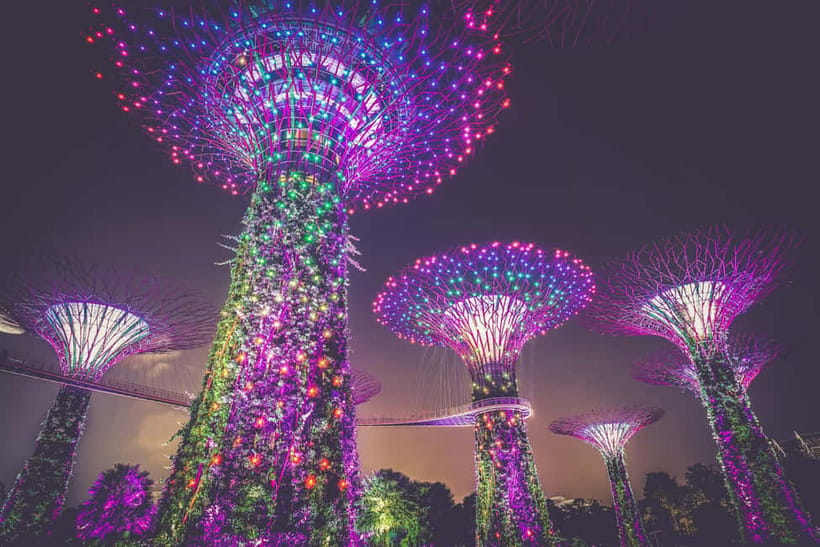 Singapore River Cruise, Garden Rhapsody & Spectra by CYT - Gardens by the Bay: Garden Rhapsody at the Supertree Grove