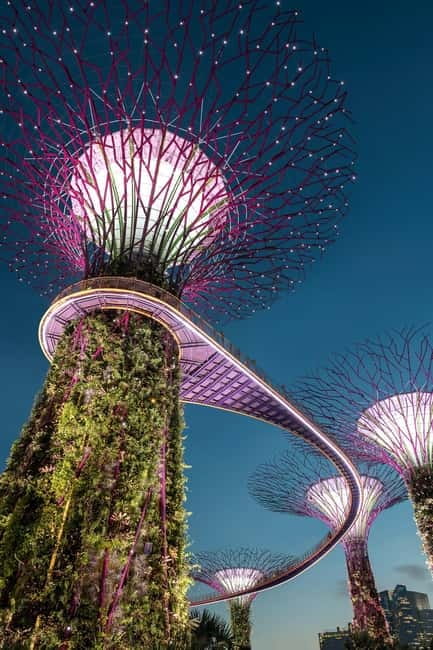 Singapore River Cruise, Garden Rhapsody & Spectra by CYT - Logistics that matter: meeting point, timing, and the pace you feel