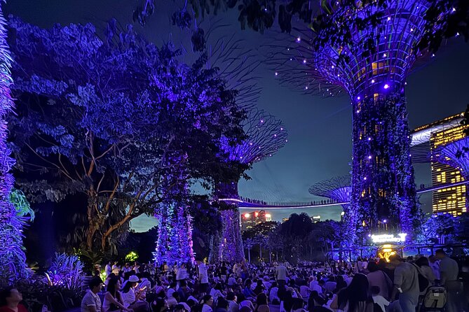 Singapore River Cruise, Night Garden Rhapsody and Spectra Tour - Key Things I’d Prioritize Before You Go