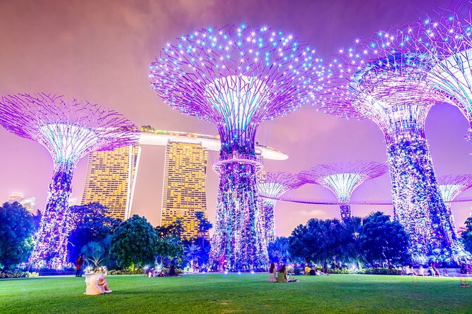 Singapore River Cruise, Night Garden Rhapsody & Spectra by CYT - Key highlights at a glance