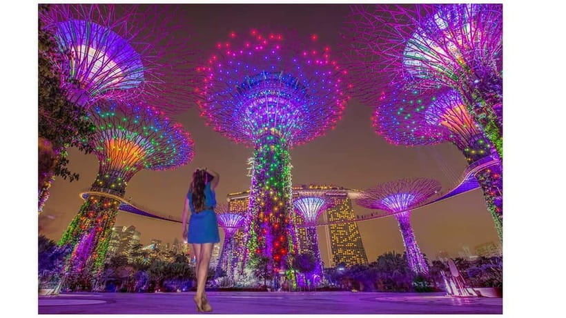 Singapore River Cruise, Spectra & Garden Rhapsody Light Show - Merlion Park Photostop: The Icon You’ll Actually Use Your Camera For