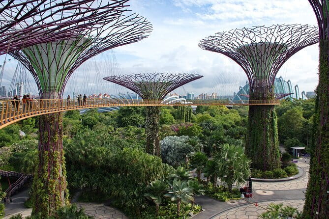 Singapore River Cruise Tour with E-Tickets - Gardens by the Bay and the Supertrees: what you’re really paying for
