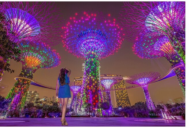 Singapore River Cruise with Spectra & Garden Rhapsody Light Show - The 4.5-hour structure that makes this night feel easy