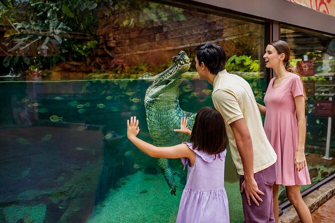 Singapore: River Wonders Entry Ticket - Amazon Flooded Forest: the freshwater aquarium with real-world river vibes