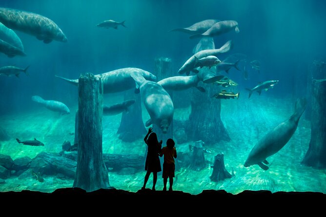 Singapore: River Wonders Entry Ticket - What to do first: a practical route for your 1-day visit