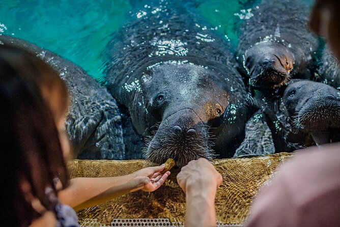 Singapore: River Wonders Entry Ticket - Timing tips that save you from end-of-day disappointment