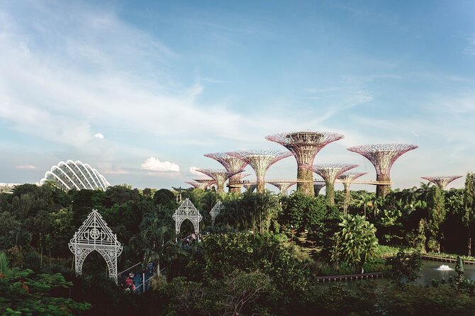 Singapore’s Hidden Treasures: A Cultural Private Tour - Chinatown on Foot: Where the Tour Gets Personal
