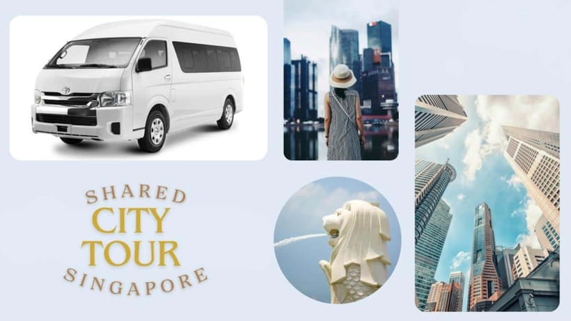 Singapore: Shared City Tour by Van/Bus - Getting There: Shared Van/Bus Pickup and Tight Timing Reality