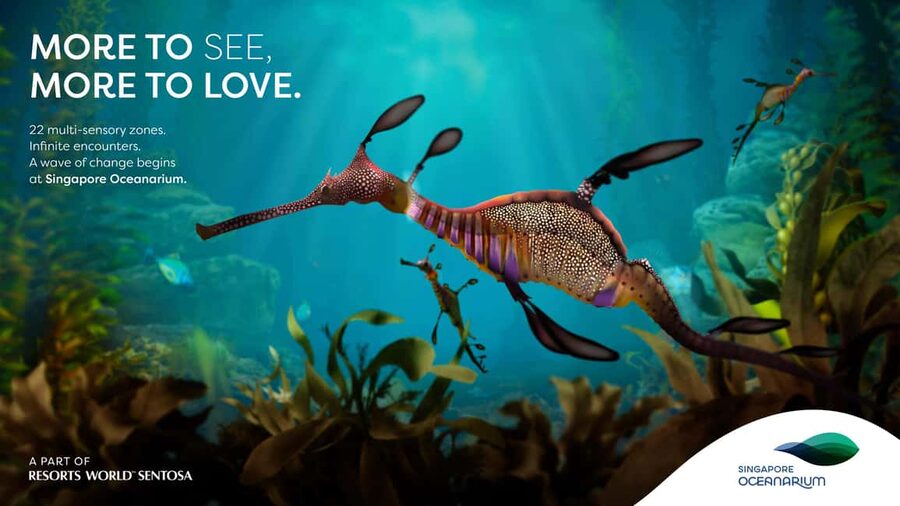 Singapore: Singapore Oceanarium Entrance Ticket - Start with the kreisel tank: 5,000+ moon jellyfish