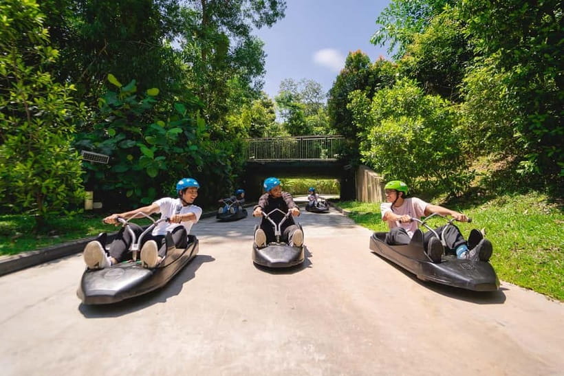 Singapore: Skyline Luge Sentosa Entry Ticket - Skyride to the top: views, air, and the calm before turns