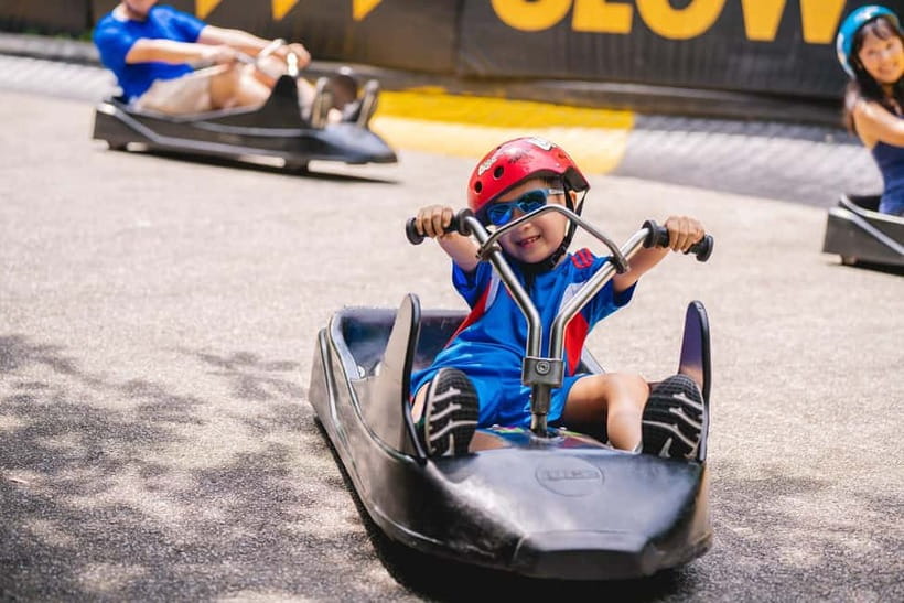 Singapore: Skyline Luge Sentosa Entry Ticket - The Luge part: how it works and why it feels so personal