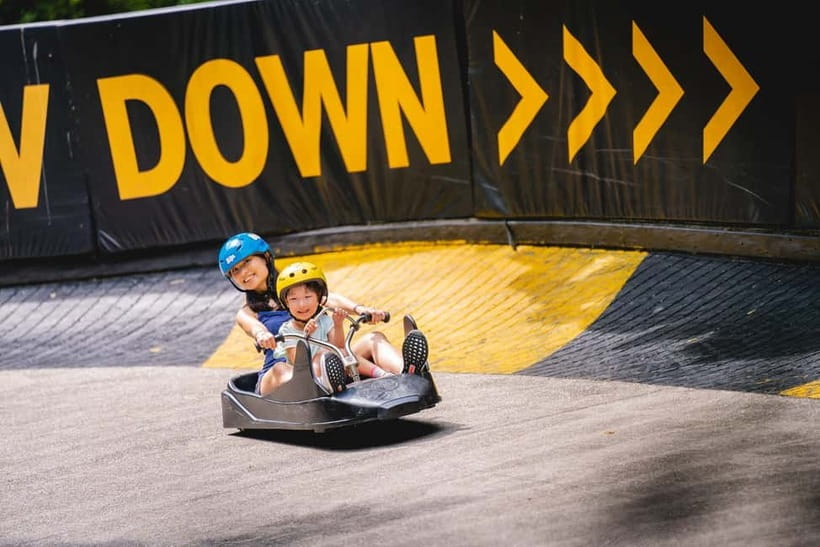 Singapore: Skyline Luge Sentosa Entry Ticket - Night Luge: illuminated track riding at night
