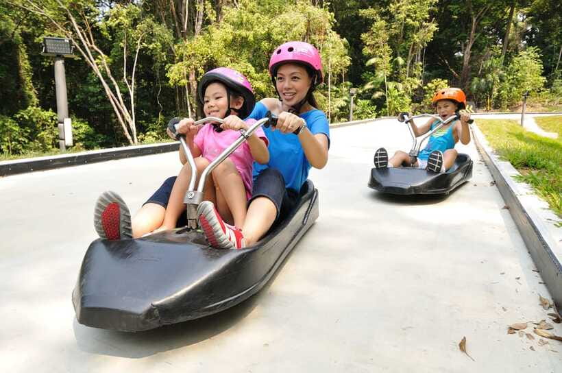 Singapore: Skyline Luge Sentosa Tickets - What the 1.2+ Kilometers of Track Feels Like