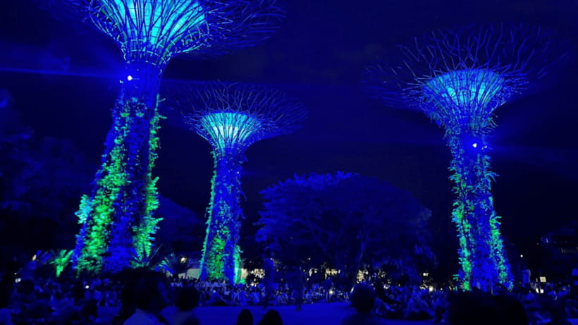 Singapore: Twilight Tour with River Cruise and Light Shows - Gardens by the Bay: Garden Rhapsody from Vintage Point