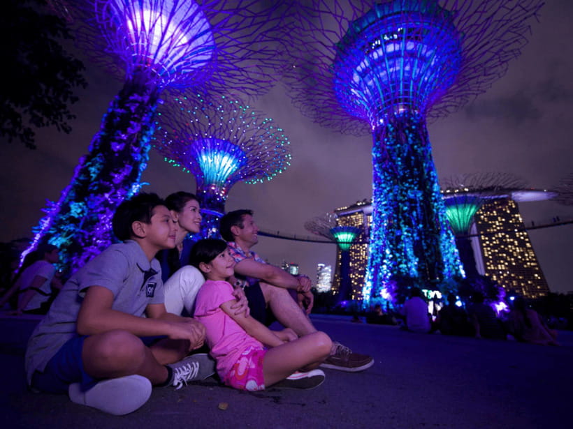Singapore Twilights with River Cruise & Light Shows - Gardens by the Bay and the Supertrees: Garden Rhapsody from Vintage Point